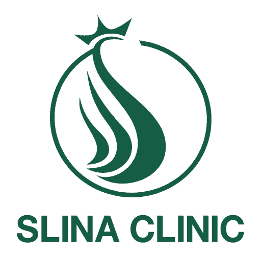 Logo Slina
