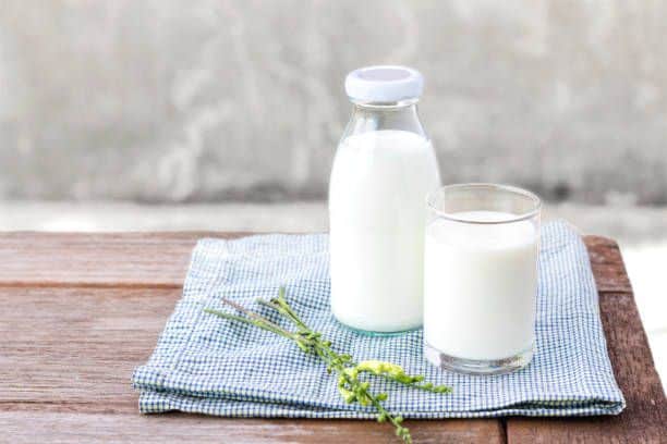 Sữa cung cấp dưỡng chất từ bên trong cho cơ thể