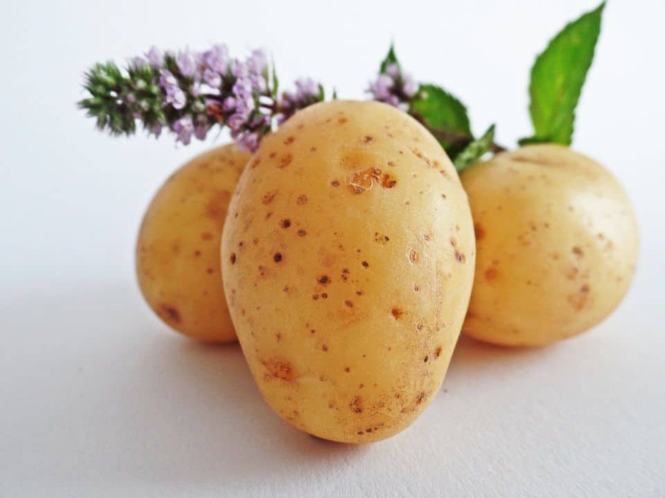 Sử dụng khoai tây tươi là một cách trị nám da mặt sau khi sinh cực dễ làm